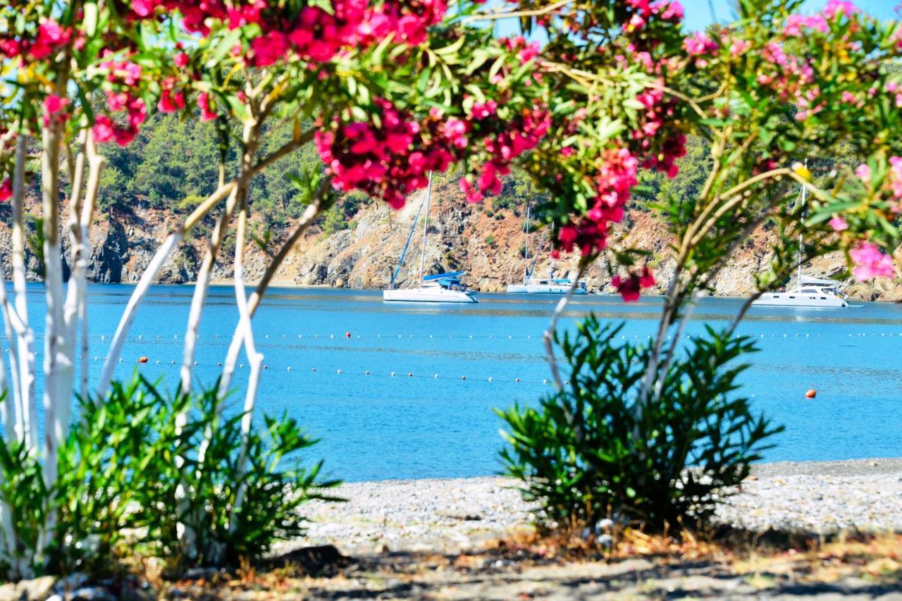 Вілла Santana Gocek Гьоджек Екстер'єр фото